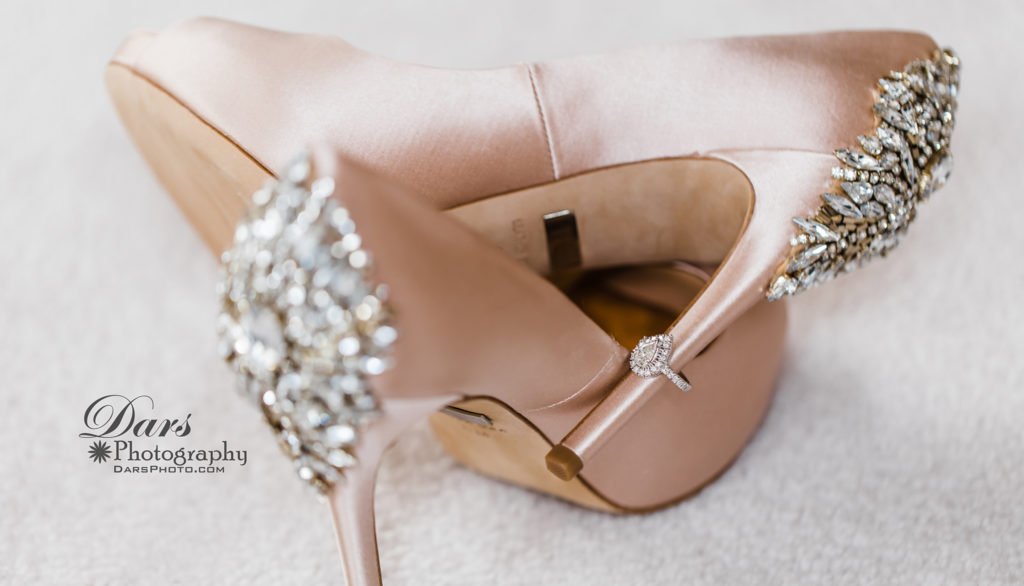 CHICAGO WEDDING PHOTOGRAPHER DARS Photographer