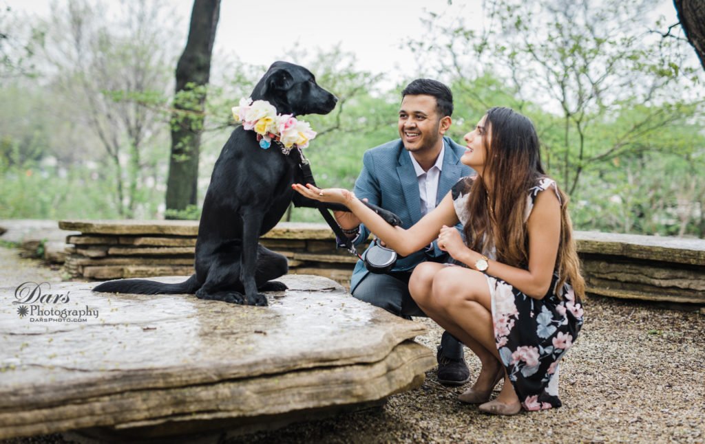 Engagement Shoot